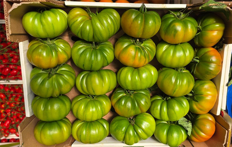Pomodoro cosotoluto - Lazio - 2,30/2,50 euro al chilogrammo